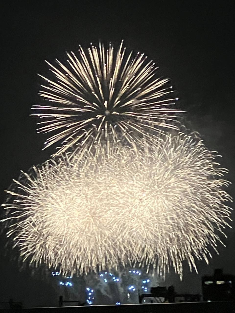 江戸川の夜空を彩る大輪の華❢